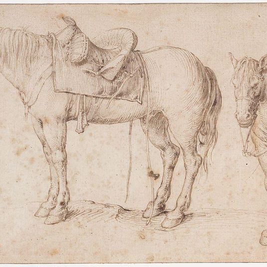 Two studies of a saddled horse and of a horse with a boy astride; verso: Study of a bean plant