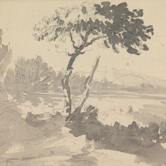 Tree and Lake