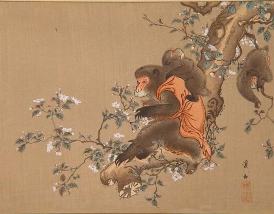 Drie apen in boom