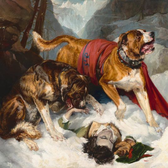 Alpine Mastiffs Reanimating a Distressed Traveler