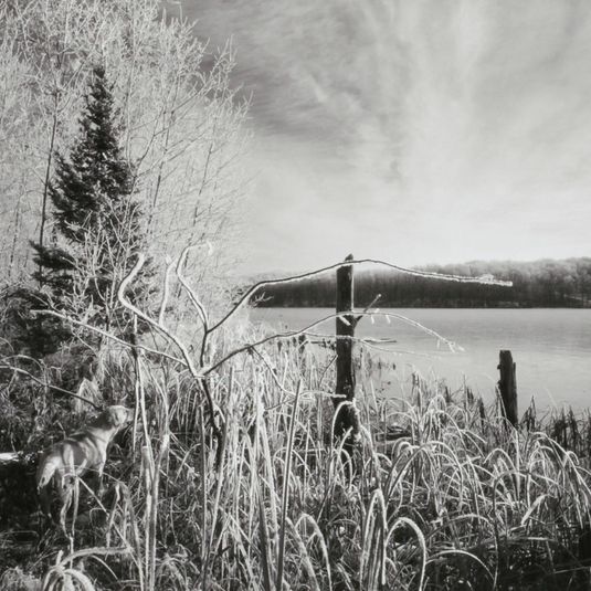 Early Winter Landscape, Wisconsin