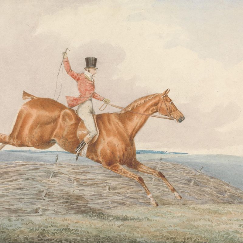 Foxhunting: Rider, Taking a Fence