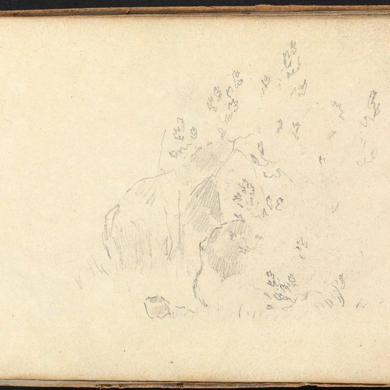 Album of Landscape and Figure Studies: Slight Sketch of Rocks and Leaves