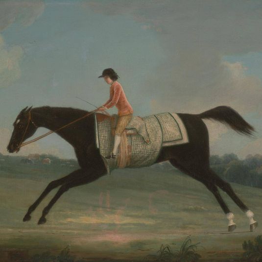 Borlase Cokayne as a Boy riding Sultana