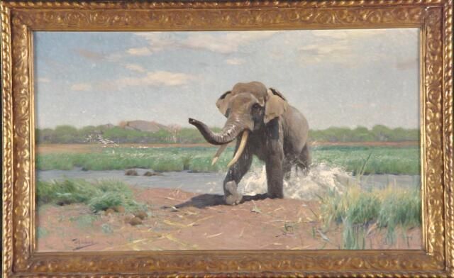 Indische olifant uit het water stappend