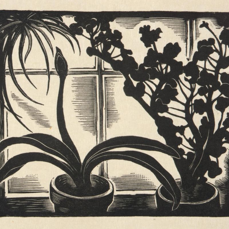 Window Plants (Illustration for The Checkerboard)