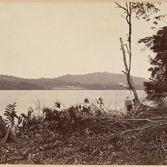 Tropical Scenery, Darien Harbor, Chipigana