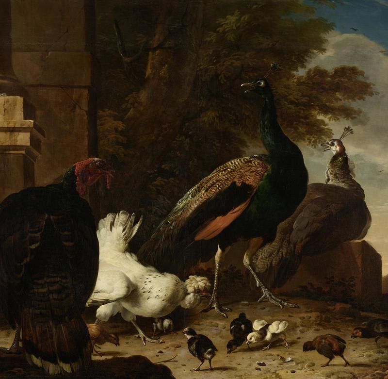 A Hen with Peacocks and a Turkey