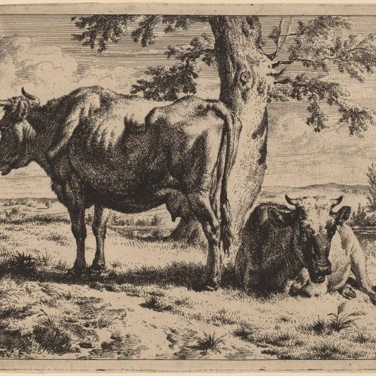 Two Cows under a Tree