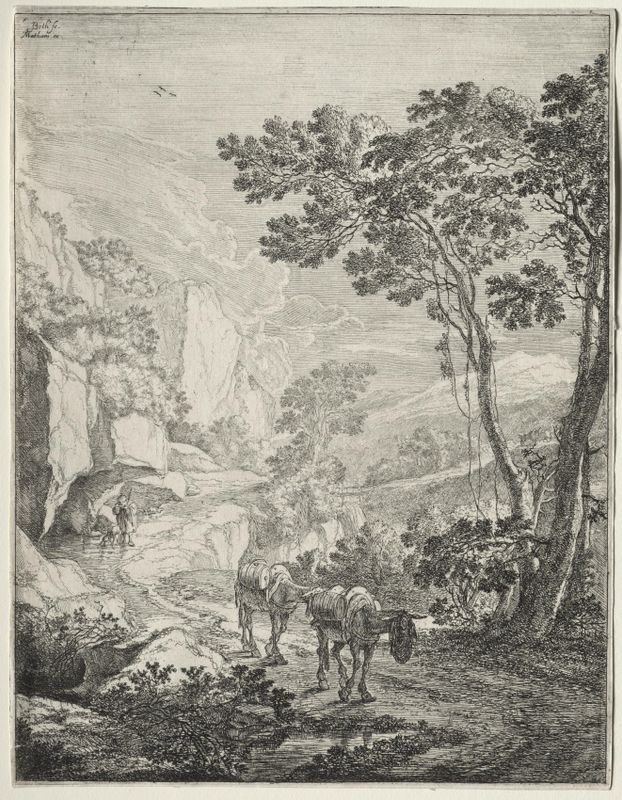 The Two Mules. Rocca Aquatico near Ancona