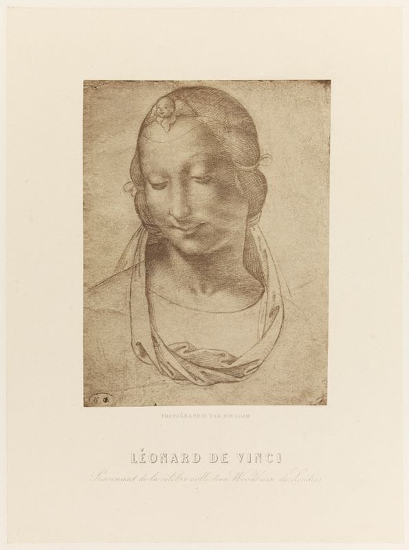 Photographie d'un dessin de Léonard de Vinci