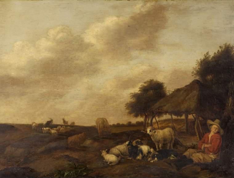 Sheep and goats with a shepherd
