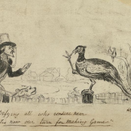 Pheasant defying Hunters