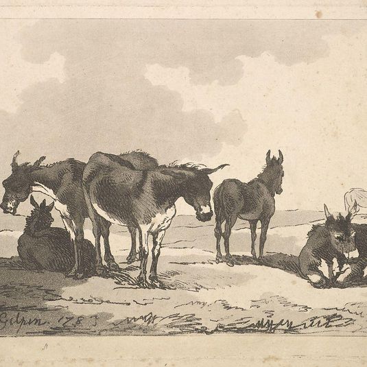 A Group of Five Donkeys, Three Standing, Two Lying