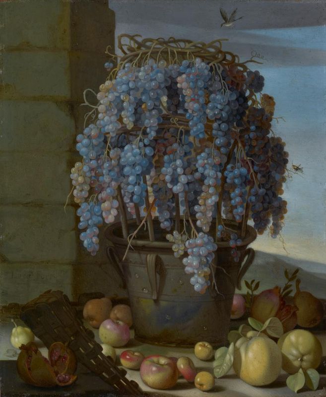 Still Life with Grapes and Other Fruit