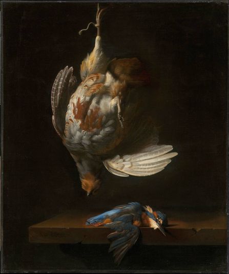 Still Life with Dead Partridge and Kingfisher