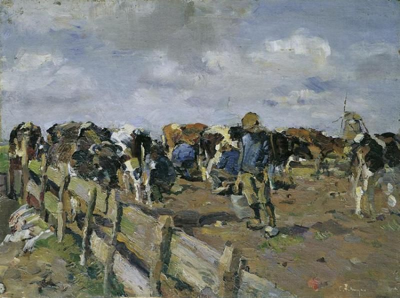 Milking the Cows
