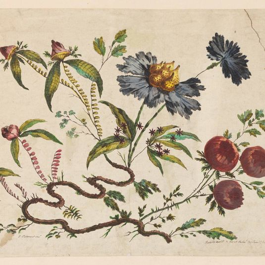Flower Boughs, from "Recueil de Differentes Fleurs de Fantaisie Dans le Goût Chinois"