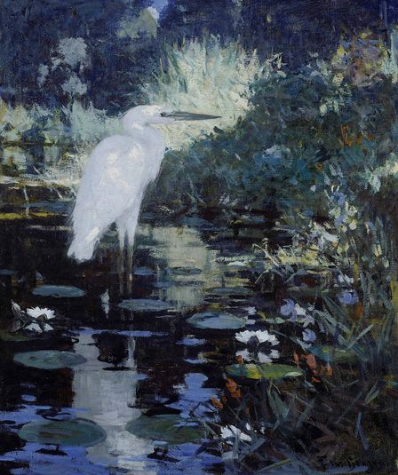 White Heron in a Pool in a Garden