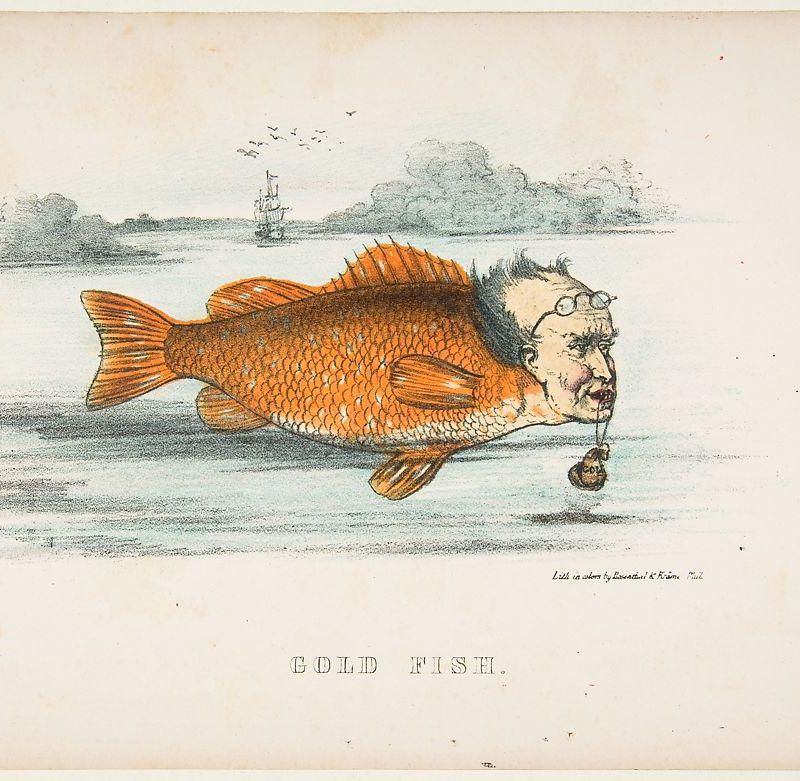 Gold Fish (Francis M. Drexel), from The Comic Natural History of the Human Race