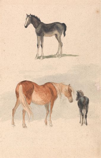 Two Studies: a Foal, and a Mare and Foal