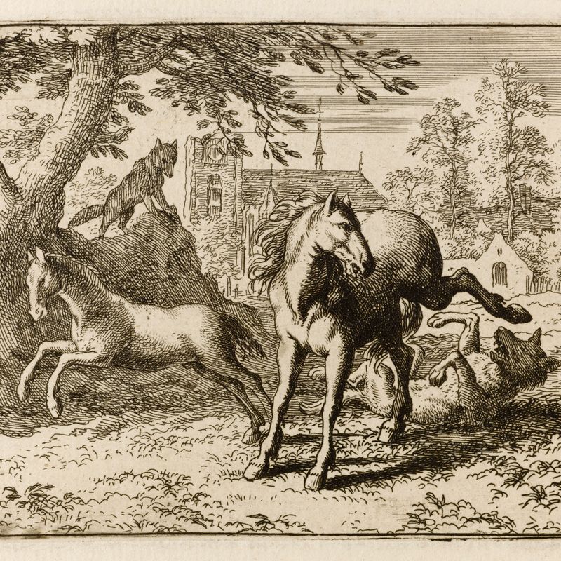 Le Roman de Renard : 44- Le renard, certain d’apaiser la colère du lion, part avec le blaireau pour se rendre à la cour, pendant son voyage il raconte à son ami le tour qu’il a joué au loup qui voulait s’emparer d’un poulain (Bartsch 44)