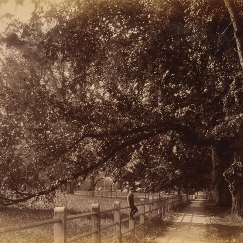 Pathway on Main Street, from the album Views of Charlestown, New Hampshire