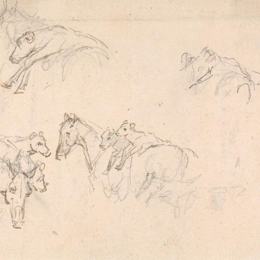 Study of Horses Carrying Calves on their Backs